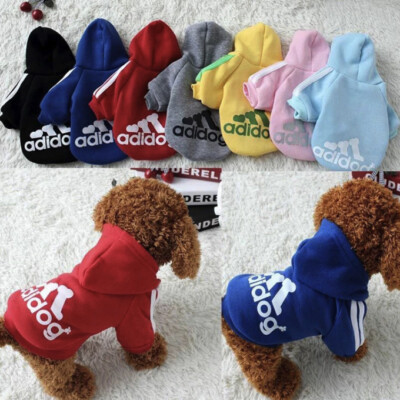 Chompa delicada para mascota